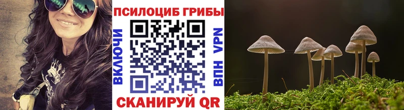 Псилоцибиновые грибы прущие грибы  Верхняя Салда 